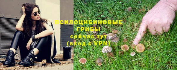 MDMA Premium VHQ Ладушкин