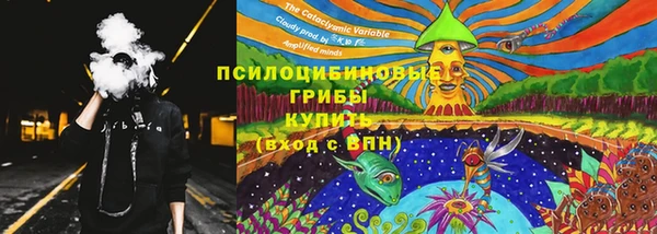соль ск Лагань