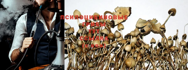 MDMA Premium VHQ Ладушкин