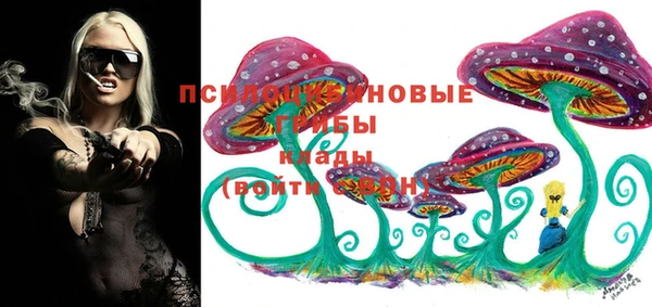 мескалин Лабытнанги