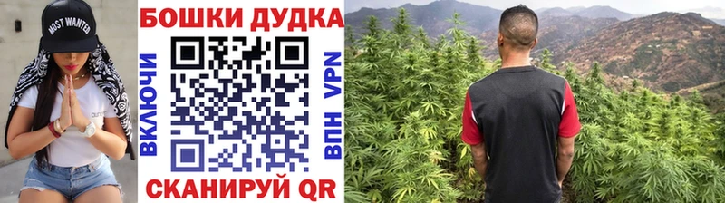 Бошки марихуана Amnesia  Купить закладки  Алупка 